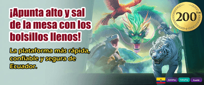 Siente la emoción del casino